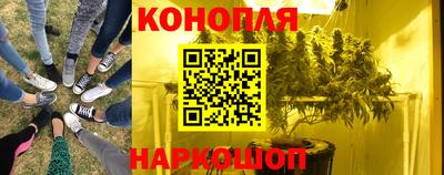 мяу мяу мука Кинель