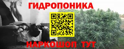 мяу мяу мука Кинель