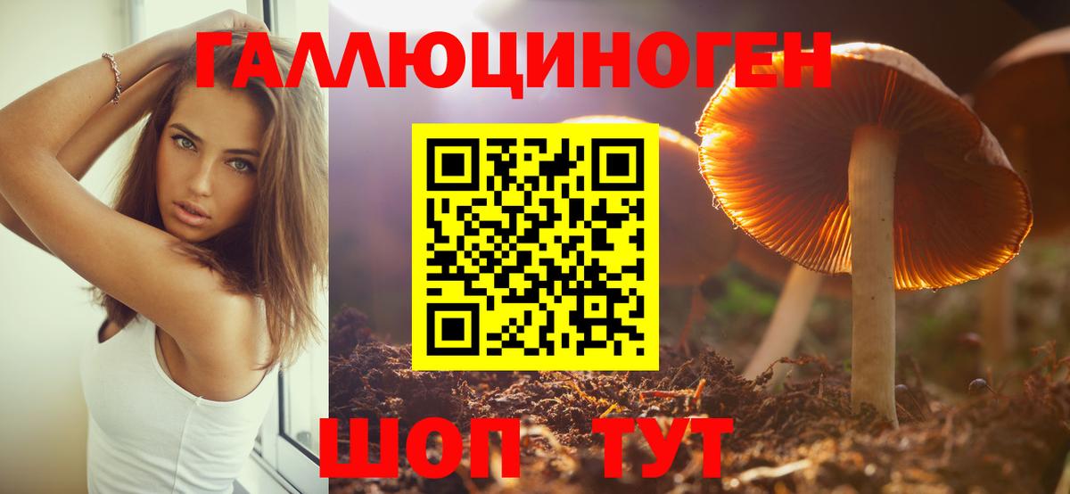 Галлюциногенные грибы ЛСД  Псилоцибиновые грибы ЛСД  Крымск  Вход с VPN 